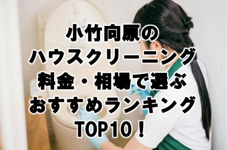 小竹向原　ハウスクリーニング　おすすめ　ランキング TOP10！